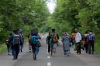 وصول 2500 الى 3000 مهاجر الى النمسا قادمين من المجر