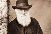 داروين: آسف سيدي... لا أؤمن!