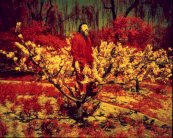 ساميزداتا: ليس معرضًا فنيًا بل 