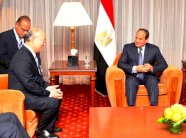 نشاط مكثف للرئيس المصري في نيويورك