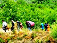 الكنيسة البلغارية تعتبر تدفق اللاجئين 