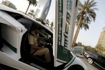 شرطة دبي تقبض على الأسد الهارب