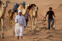 بريطاني يقطع صحراء الربع الخالي على جمال