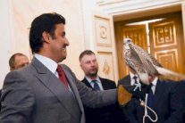 بوتين يهدي أمير قطر صقراً