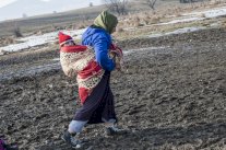 السويد وفنلندا وهولندا تريد طرد مهاجرين