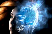 حجم دماغ المرأة يتغير أثناء الحيض