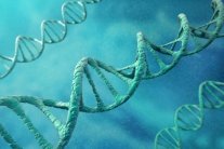 حقنة في الدماغ توقف الزهايمر