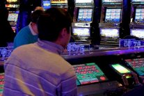 نصف المهاجرين إلى ألمانيا مقامرون