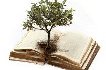 اليونسكو تؤكد دور التعليم في التصدي لتغير المناخ