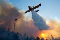 إسرائيل ترد على الشامتين العرب بآيات قرآنية!