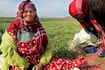 دراسة: المغرب قادر على تحقيق أهداف التنمية في افق 2030