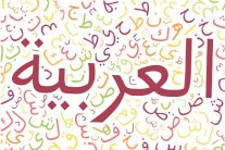 حضرت المشاكل وغابت الحلول في يوم العربية