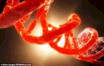 تكنولوجيا تحرير الجينات صارت أكثر أمنًا