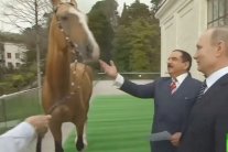 بوتين يهدي عاهل البحرين جوادًا أصيلًا