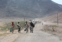 القاعدة في اليمن تسيطر على مديرية احور في ابين