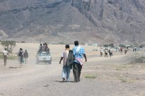 مقتل جندي إماراتي في اليمن