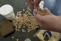 إعدام سعوديين هربا كميات من الأقراص المخدرة