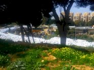 جبال من النفايات تحيط ببيروت!