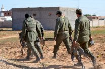 تونس تقضي على 50