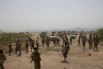 اليمن: تحضيرات لتحرير محافظة شبوة 