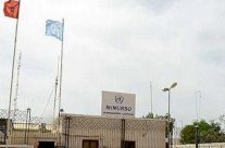 عشرات من عناصر