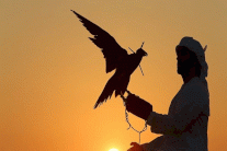 قطر تعلن تحرير أحد رعاياها المخطوفين في العراق