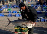 خيبة أمل صيادي غزة مع سريان قرار إسرائيل توسيع منطقة الصيد