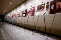 هكذا وصلت وثائق جرائم الأسد إلى أيدي المحققين