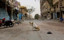 الجيش الروسي يعلن نزع الالغام بالكامل من تدمر