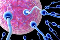 اكتشاف قد يسهم في القضاء على العقم