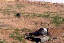 مقتل 16 مصريًا رميًا بالرصاص في ليبيا