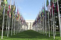 Elaph in the United Nations