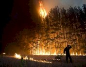 قبرص متفائلة باخماد حرائق الغابات قريباً