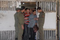 عائلة طبيب سوري قضى بسجون النظام تتقدم بشكوى في فرنسا