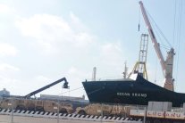 عدسة إيلاف تكشف: سلاح أميركي إلى ليبيا