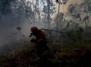 الحرائق تتراجع في البرتغال وفرنسا وتتسارع بشكل مشبوه في اسبانيا