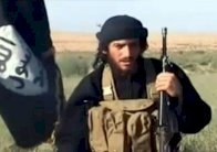 واشنطن تؤكد استهداف العدناني في سوريا