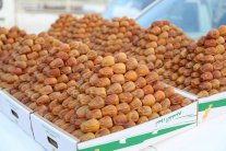 مهرجان بريدة للتمور ينطلق غدًا رسمياً