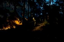 البرتغال تشهد مزيدا من الحرائق