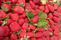 اشتعال حرب التوت والفراولة بين مصر وأميركا