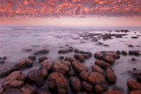 اكتشاف أقدم دليل على الحياة في الأرض