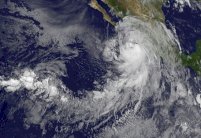 اعصار نيوتن يصل الى منتج سياحي في المكسيك