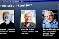 سويسري وأميركي وبريطاني يحصدون جائزة نوبل للكيمياء