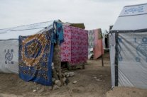 استسلام عناصر مفترضين من حركة بوكو حرام في شمال الكاميرون