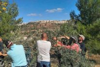 بريطانيا: ندعم حق الفلسطينيين للوصول إلى أراضيهم