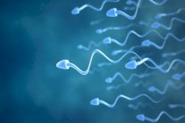 تطوير مانع حمل للرجال