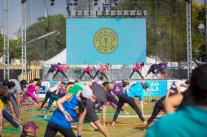 اقبال كبير على فعاليات