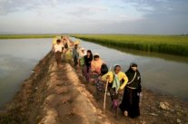 لجنة أممية تدعو بورما لوقف الهجمات ضد الروهينغا