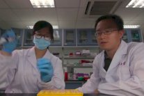 المستقبل لعلاجات مصممة خصيصًا لكل مريض بحسب جيناته