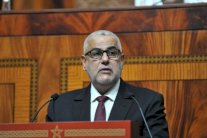 المشاركون في استفتاء